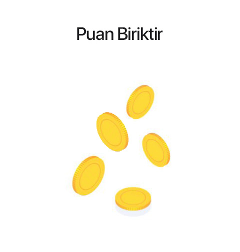 Puan Biriktir