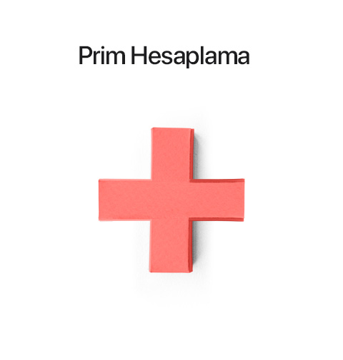 Prim Hesaplama