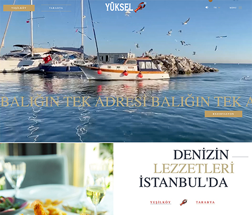 Tasarım & Kodlama & E-Ticaret & Dijital Strateji & SEO